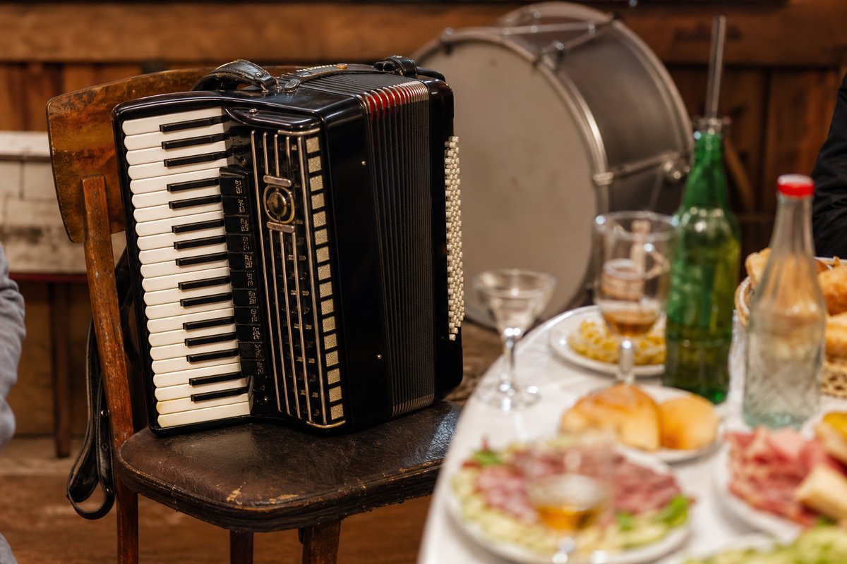 Harmonika u kafani tokom momačkog veča